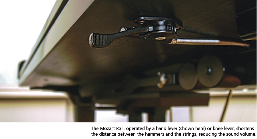 2 steingraeber-mozart-rail.png