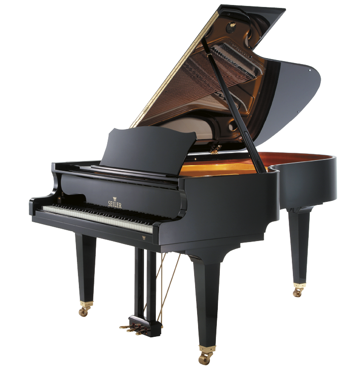 a07-Seiler-MAESTRO.png a07-Seiler-MAESTRO.png